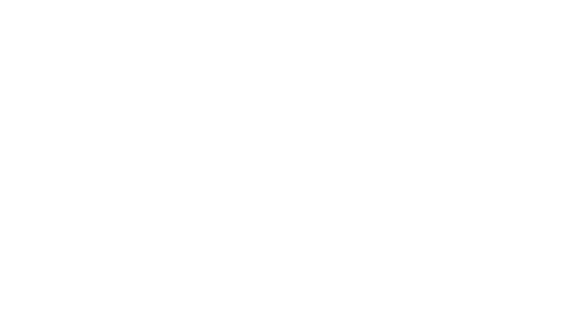 Protech Sistemi